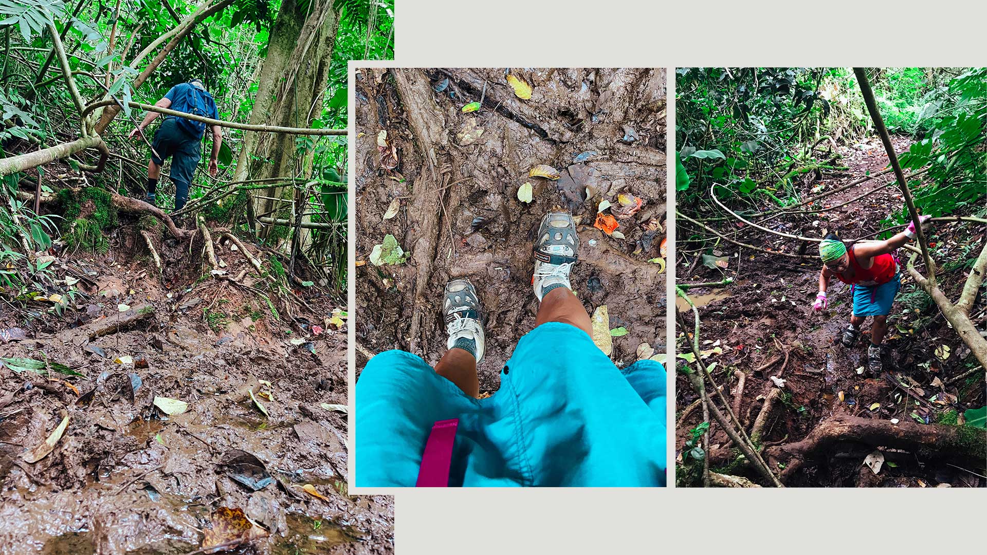 Just took a stroll through the enchanting EDEN forest with my friends! The towering trees, fresh air, and beautiful scenery filled me with pure bliss. BUT, no so much the mud!