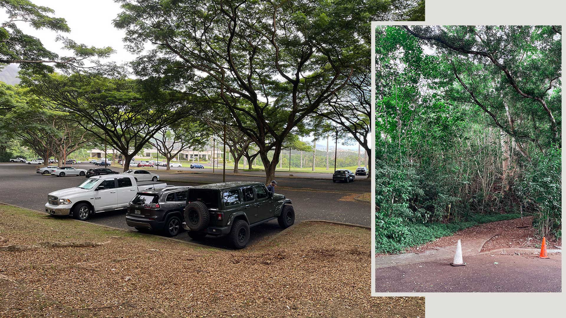 Escape the city with a nature hike. Likeke Falls Parking is currently $10.